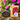 Artisanal Handmade Hair & Body Bar 'Hibiscus' Beeswax Soap