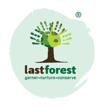 Last Forest
