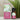 Aromatherapy Oil - Lemongrass