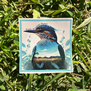 Sticker • Kingfisher