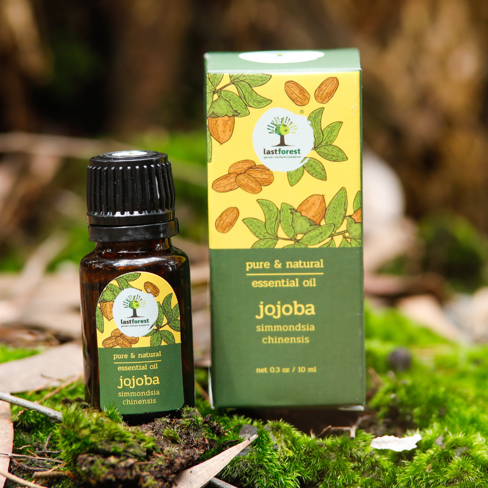 Aromatherapy Oil Jojoba Skin Care Last Forest