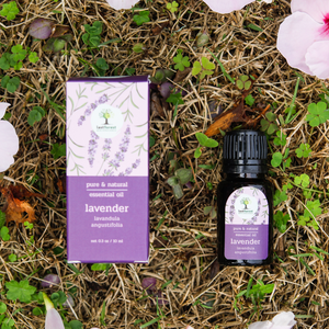Aromatherapy Oil - Lavender (Skin Care& Aromatherapy)
