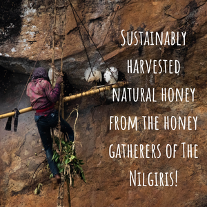 Raw, Unprocessed Wild Honey from the Forest - Nilgiri Honey