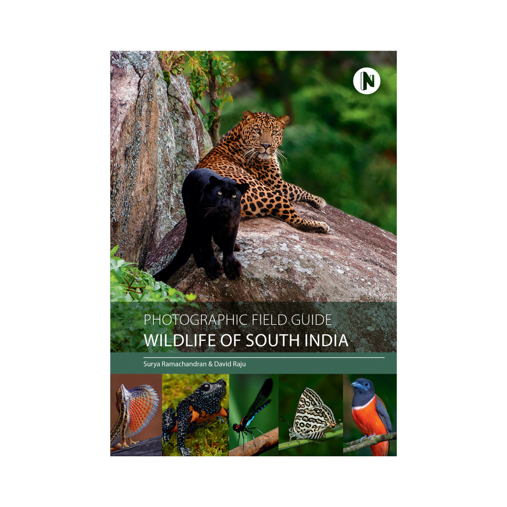 Photographic Field Guide - Wildlife of South India