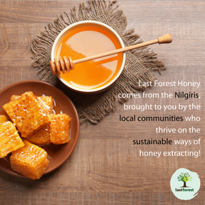 Raw, Unprocessed Wild Natural Honey from the forest - Nilgiri Honey